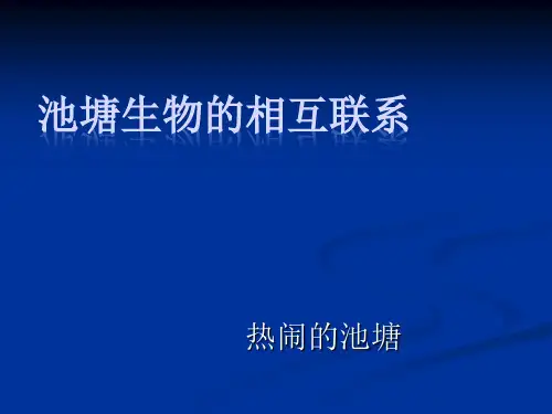 池塘生物的相互联系1
