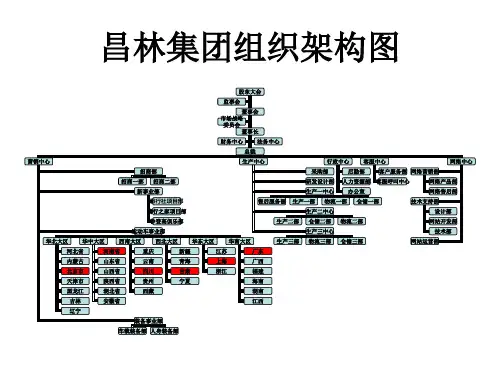 集团组织架构图