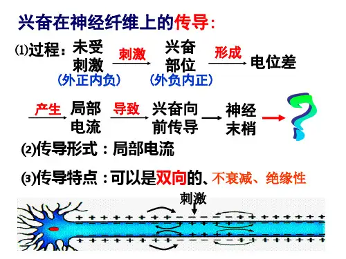 高中生物课件：突触传递