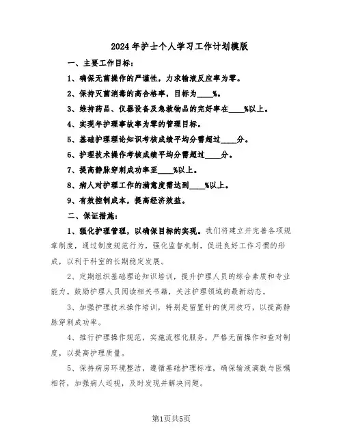 2024年护士个人学习工作计划模版（二篇）