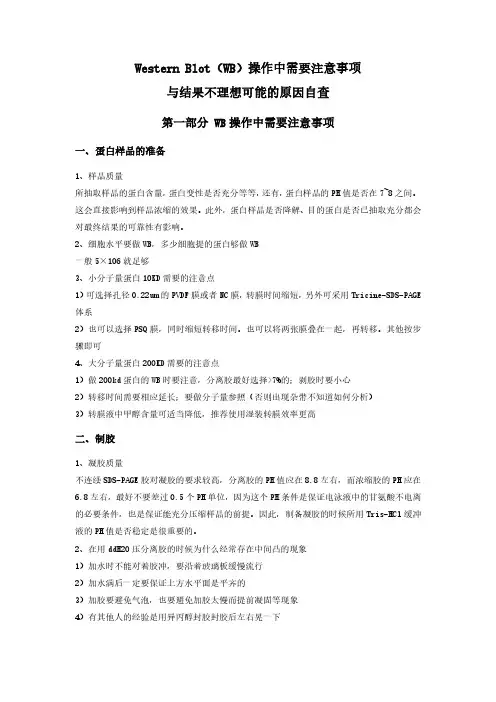 Western Blot(WB)操作中需要注意事项与结果不理想可能的原因自查