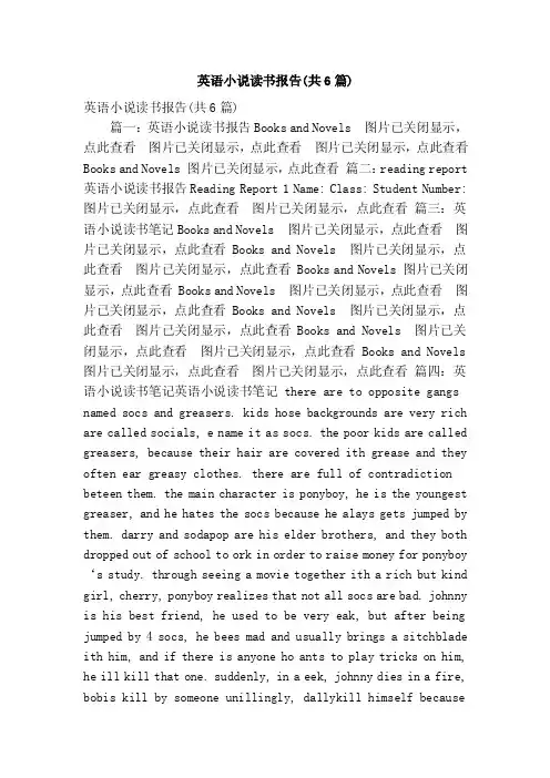 英语小说读书报告（共6篇）（精简篇）