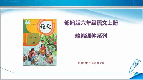 部编版人教版六年级语文上册《期末复习—阅读专项》课件