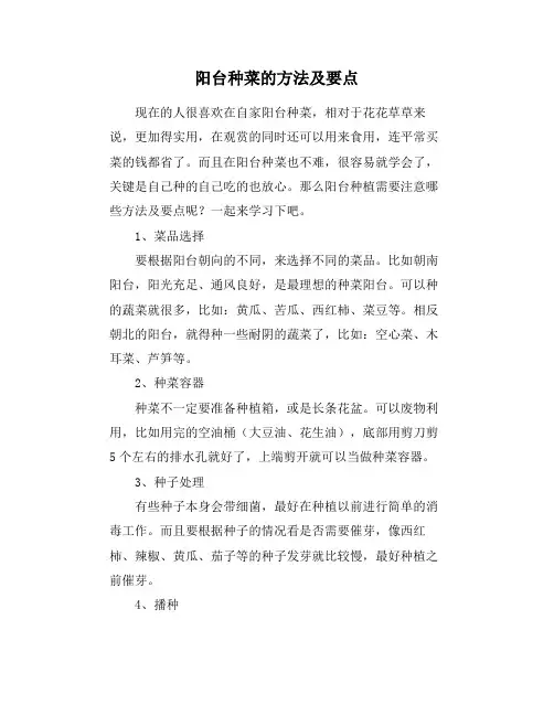 阳台种菜的方法及要点