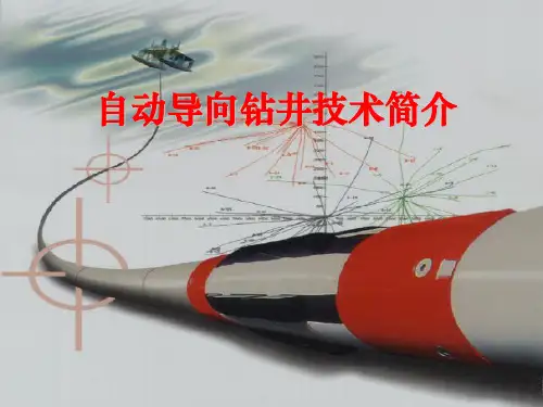 地质导向[优质ppt]
