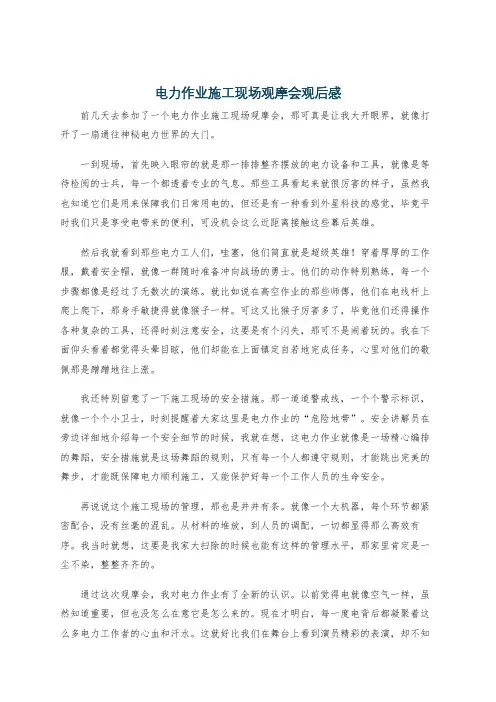 电力作业施工现场观摩会观后感