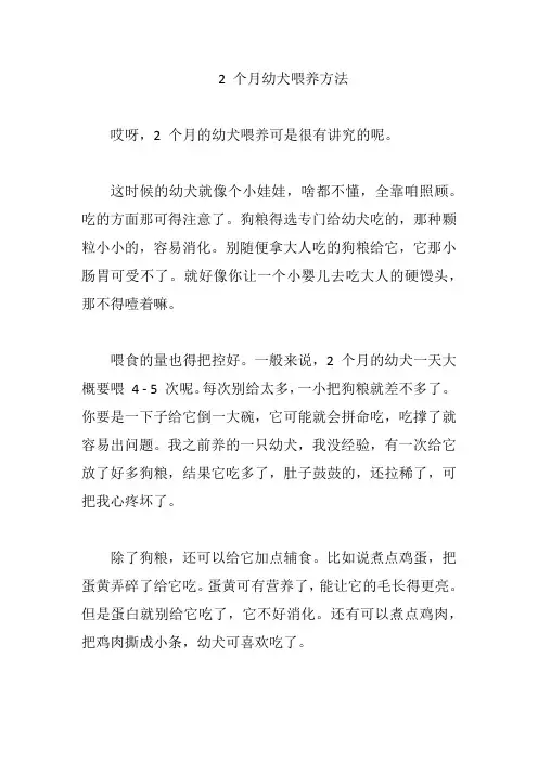 2个月幼犬喂养方法