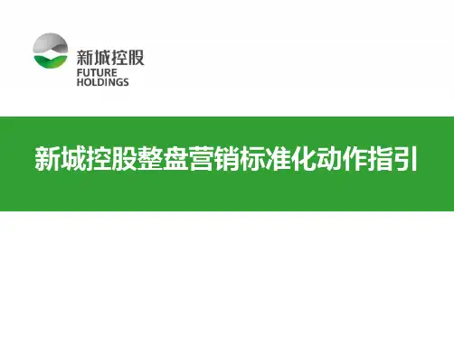 新城控股整盘营销标准化动作指引终板