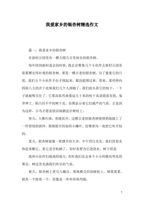 我爱家乡的银杏树精选作文