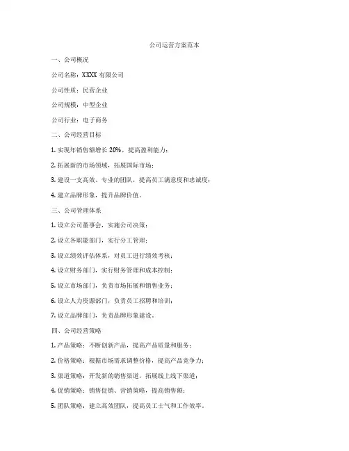 公司运营方案范本