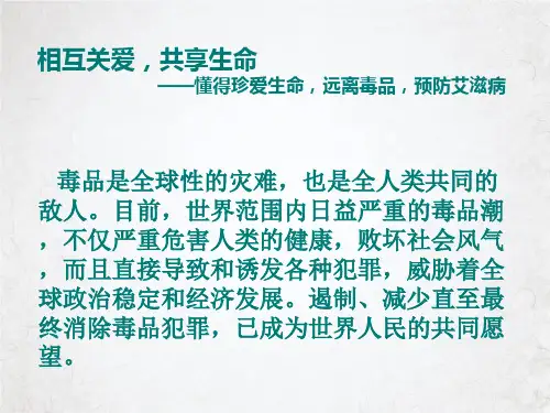 禁毒防艾班会PPT课件