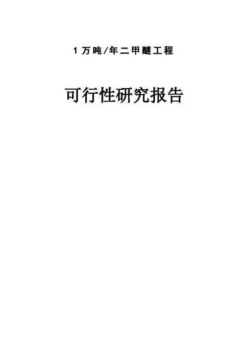 二甲醚可行性研究报告