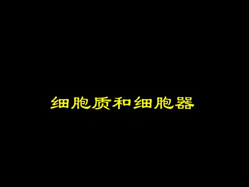 细胞质和细胞器