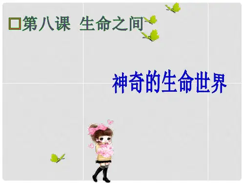 七年级政治上册 第三单元 第一课 第1框 神奇的生命世界课件 人民版