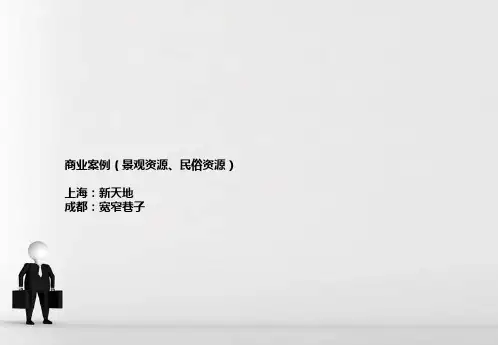 各种典型商业街经典案例 PPT课件