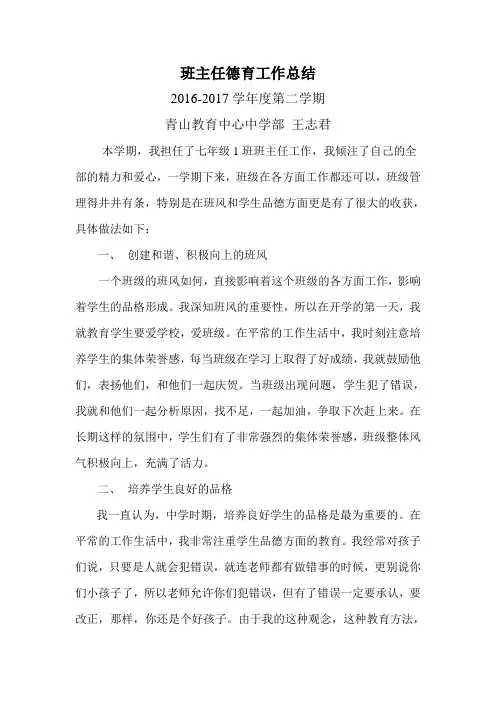 班主任德育工作总结