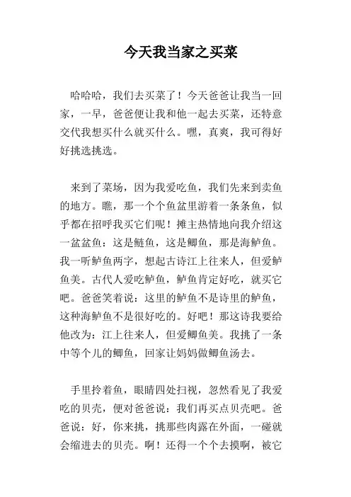 今天我当家之买菜