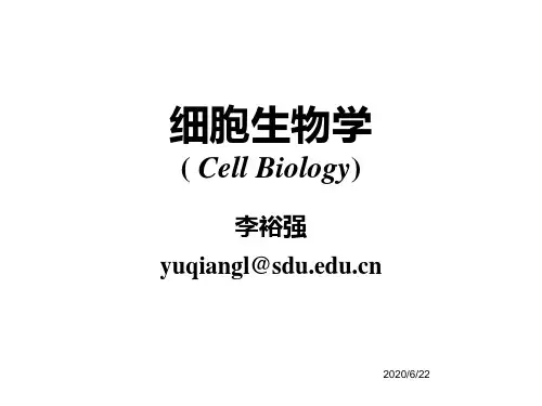 --第1章细胞概论 PPT课件