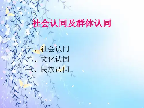 社会认同及群体认同  1