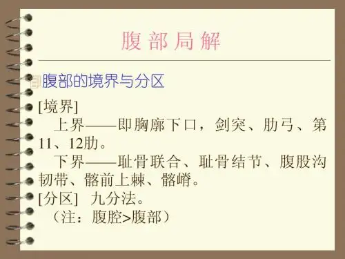 腹部局部解剖
