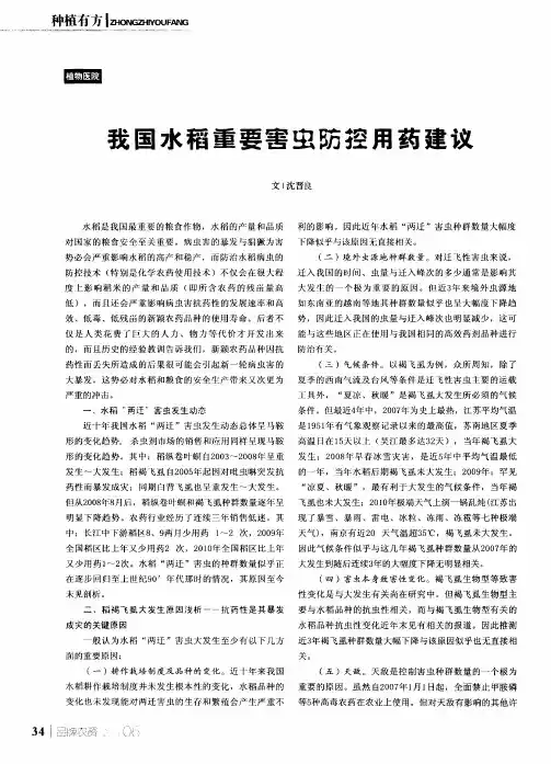 我国水稻重要害虫防控用药建议