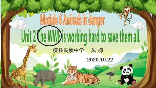 Module 6 Unit 2 课件-外研版八年级上册英语