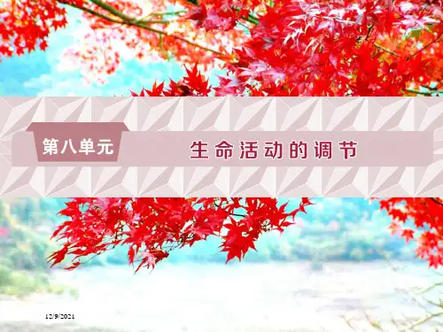 高考生物一轮复习 第八单元 生命活动的调节 第25讲 人体的内环境稳态及实例分析课件