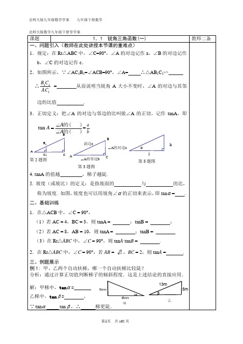 北师大版数学九年级下册导学案