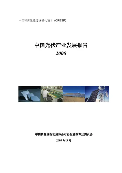 中国光伏发展报告(2008)