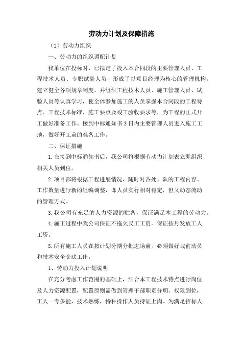 劳动力计划及保障措施
