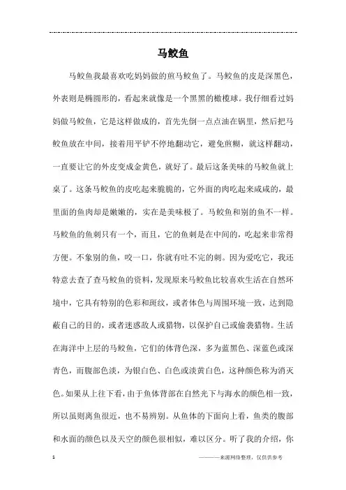 马鲛鱼