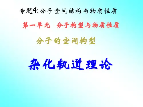 杂化轨道理论