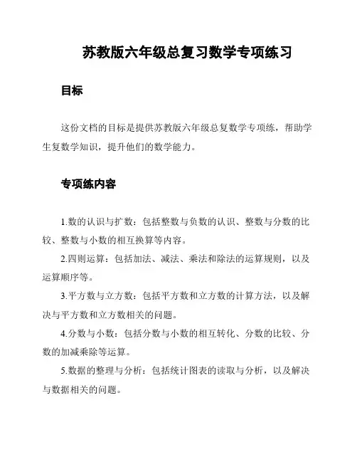 苏教版六年级总复习数学专项练习