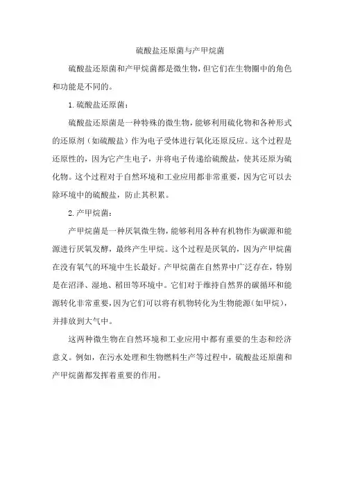 硫酸盐还原菌与产甲烷菌