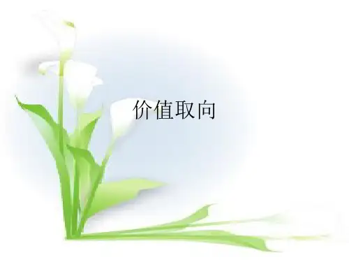 第九章价值取向