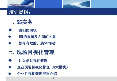 5S与现场目视化管理课件