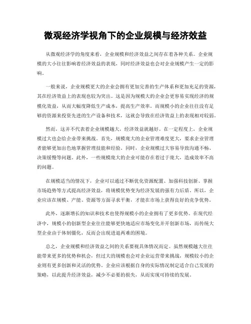微观经济学视角下的企业规模与经济效益