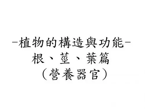 植物的构造与功能-根茎叶篇-