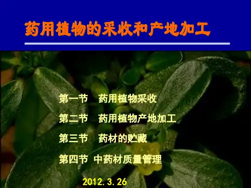 第十章 药用植物资源开发利用-采收与产地加工