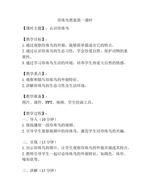 珍珠鸟教案第一课时