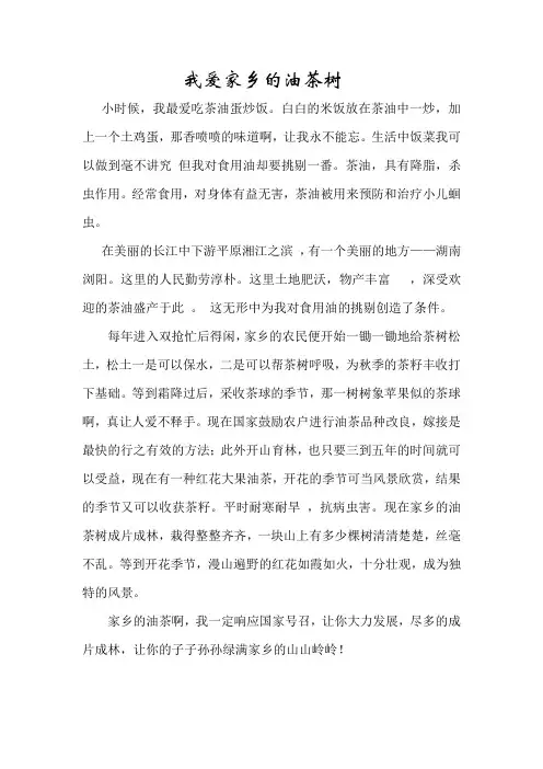 我爱家乡的油茶树