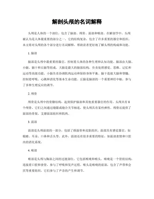 解剖头颅的名词解释