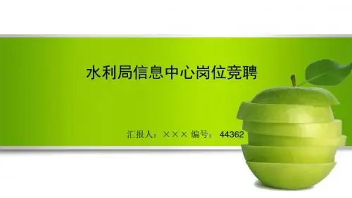 最新水利局信息中心岗位竞聘演讲稿PPT模板