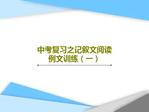 中考复习之记叙文阅读例文训练(一)共30页