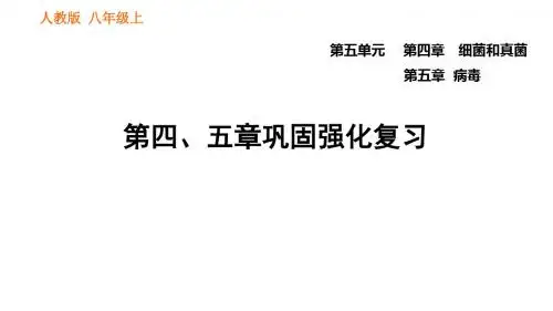 人教8年级生物上册第五单元第四、五章巩固强化复习