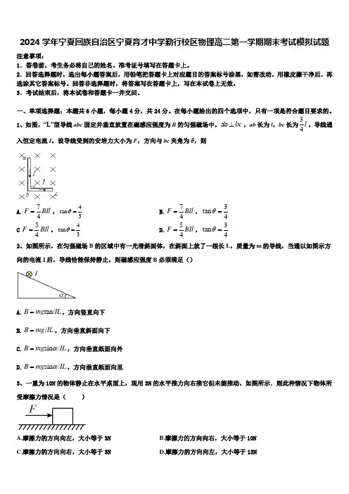 2024学年宁夏回族自治区宁夏育才中学勤行校区物理高二第一学期期末考试模拟试题含解析