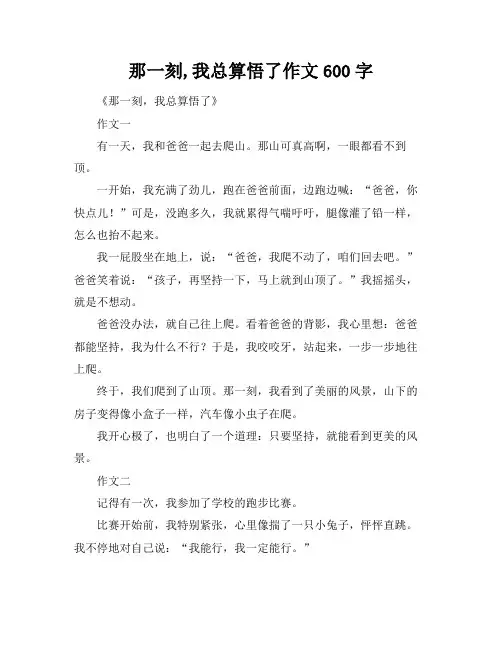 那一刻,我总算悟了作文600字
