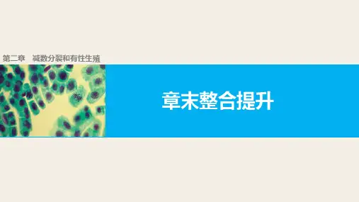 苏教版必修二 第2章 减数分裂和有性生殖 整合提升 课件(14张)