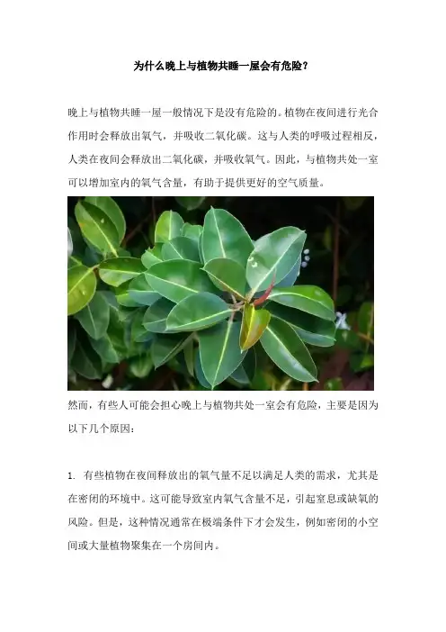 为什么晚上与植物共睡一屋会有危险