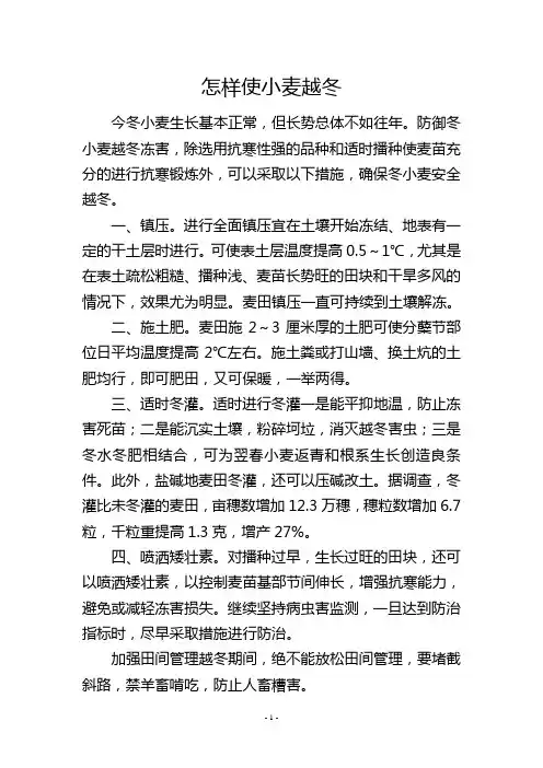 怎样使小麦越冬